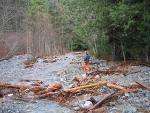 Cascade River Road