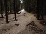 Stehekin Valley Road