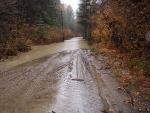 Stehekin Valley Road