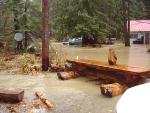 Stehekin Valley Road