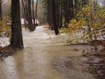 Stehekin Valley Road