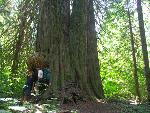 On the Big Beaver Trail