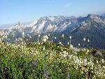 Copper Ridge