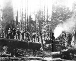 1915 Logging Operation
Skagit River near Concrete