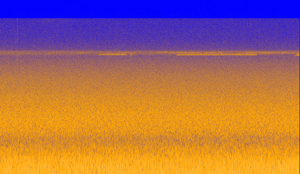 Crickets at Rainbow Loop. Image Credit: NPS/NOCA