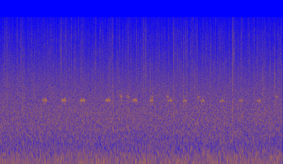 Spectrogram of a barred owl hooting. Image Credit: NPS/NOCA