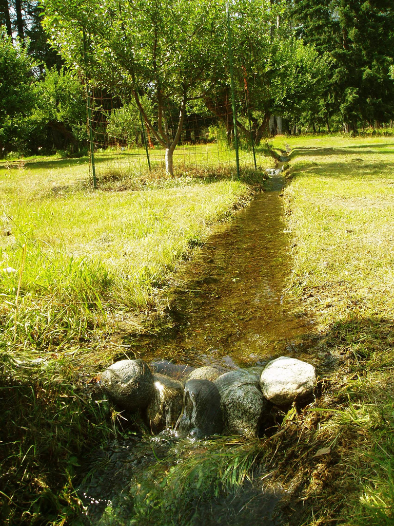 Buckner Orchard irrigation channel