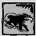 Bear graphic