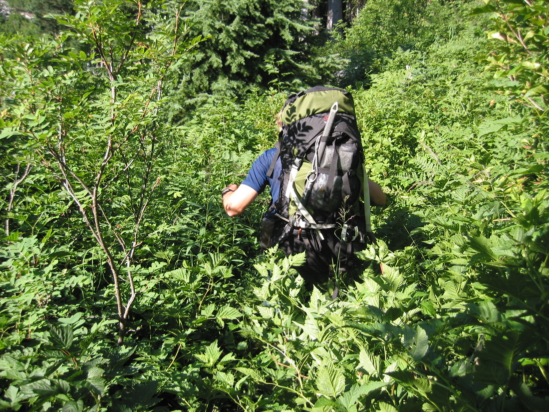 Climber disappears into thick brush