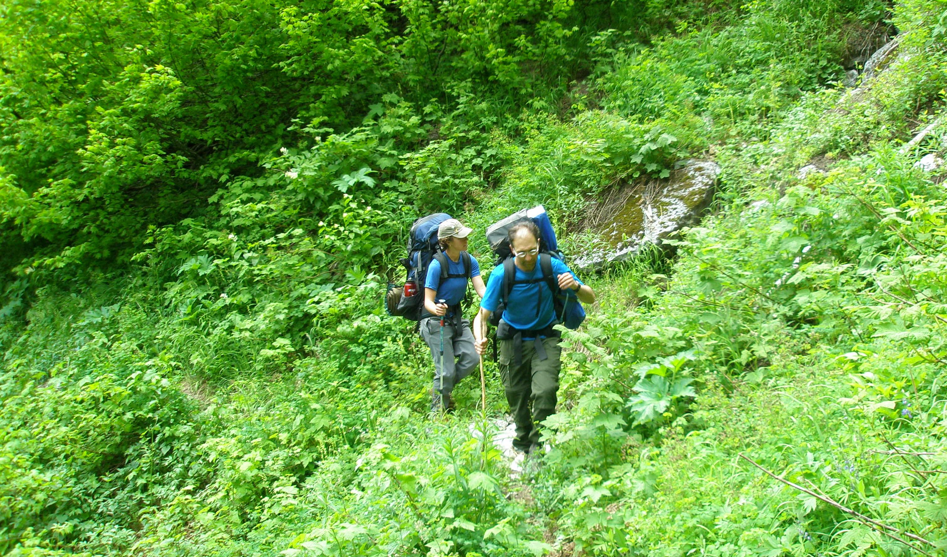 Backpackers on the Panther Creek Trail.