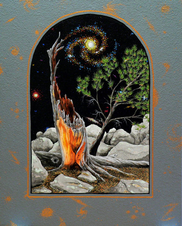 pine & galaxies - Part of the Sentient Landscapes series by 2010 Artist-in-Residence Mark McGinnish.