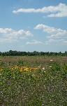 Jamaica Bay National Wildlife Refuge, GATE