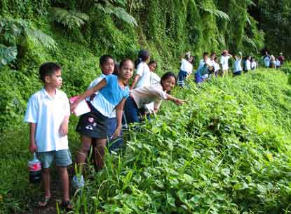 Elementary students on a field trip along the Mt. Alava trail.