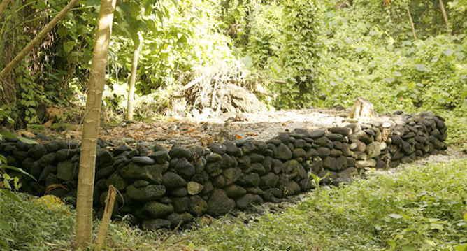 Grave_site