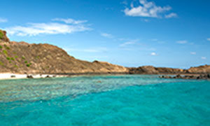 Ta'u-shoreline