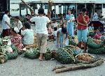 Photo of a Tutuila open market, 1965