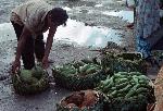 Photo of a Tutuila open market, 1965