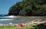 Outrigger canoes at Vatia beach.