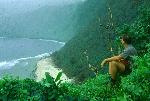 Photo of Ta'u south shore