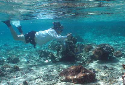 Snorkeler in Ofu Lagoon.
