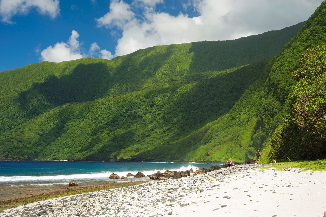 Photo of a beach near Siu Point on Ta'u island.