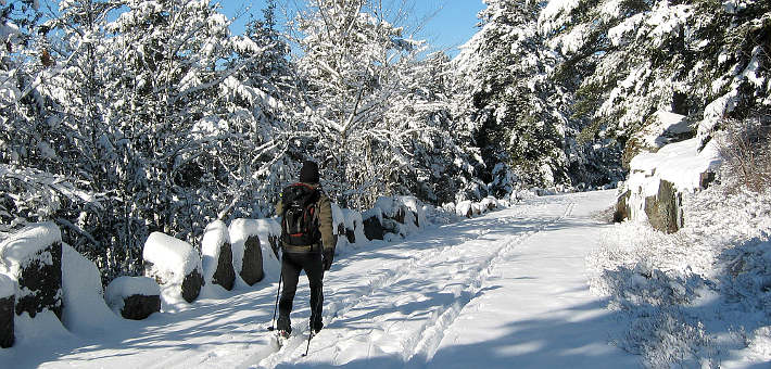 Man cross-country skiing along trail in snowy woods