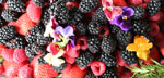 Photo of mixed berries and flowers