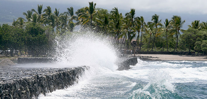 Aqua blue water crashes into a rock wall with palm trees behind