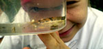 Photo of youth examining fish in water
