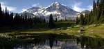 Photo of Mt. Rainier (Photo by Dave Turner)