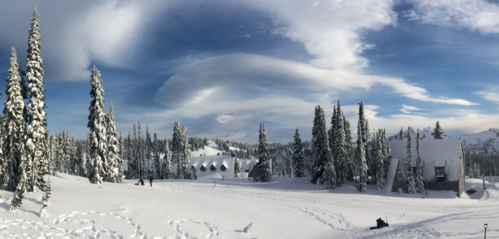 Photo of winter in the Paradise area