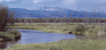 Photo of tipi poles at Big Hole National Battlefield