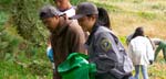 Photo of a park volunteer at Golden Gate National Recreational Area
