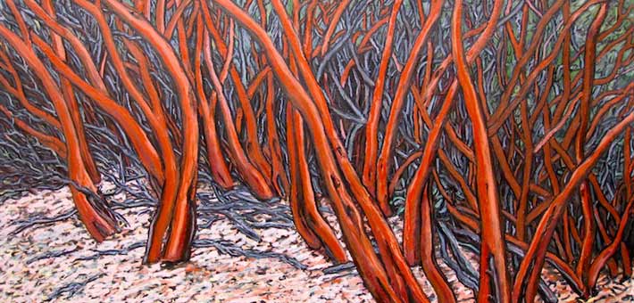 Oil stick on paper of Manzanita trees by Jacqueline Moses, a 2010 artist-in-residence at Whiskeytown National Recreation Area