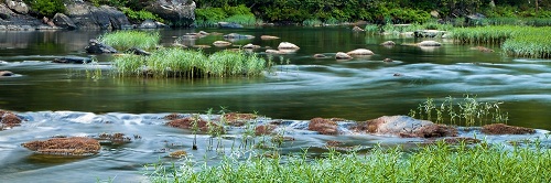 Foster_Michael_Obed River at Nemo_Landscape