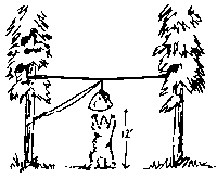 Example of proper hanging of food.