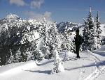 Winter Activities