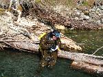 Biologist-diver records data.