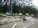 Sand Point Camp