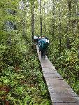 Ozette Boardwalk Trail