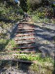 Coastal Ladder