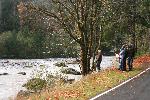 Elwha - 2