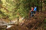 Visitors at the overlook at Salmon Cascades
