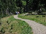 Hurricane Ridge - 2
