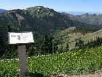 Hurricane Ridge - 3