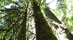 Sol Duc - 4