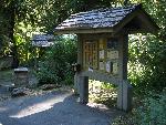 Sol Duc - 5