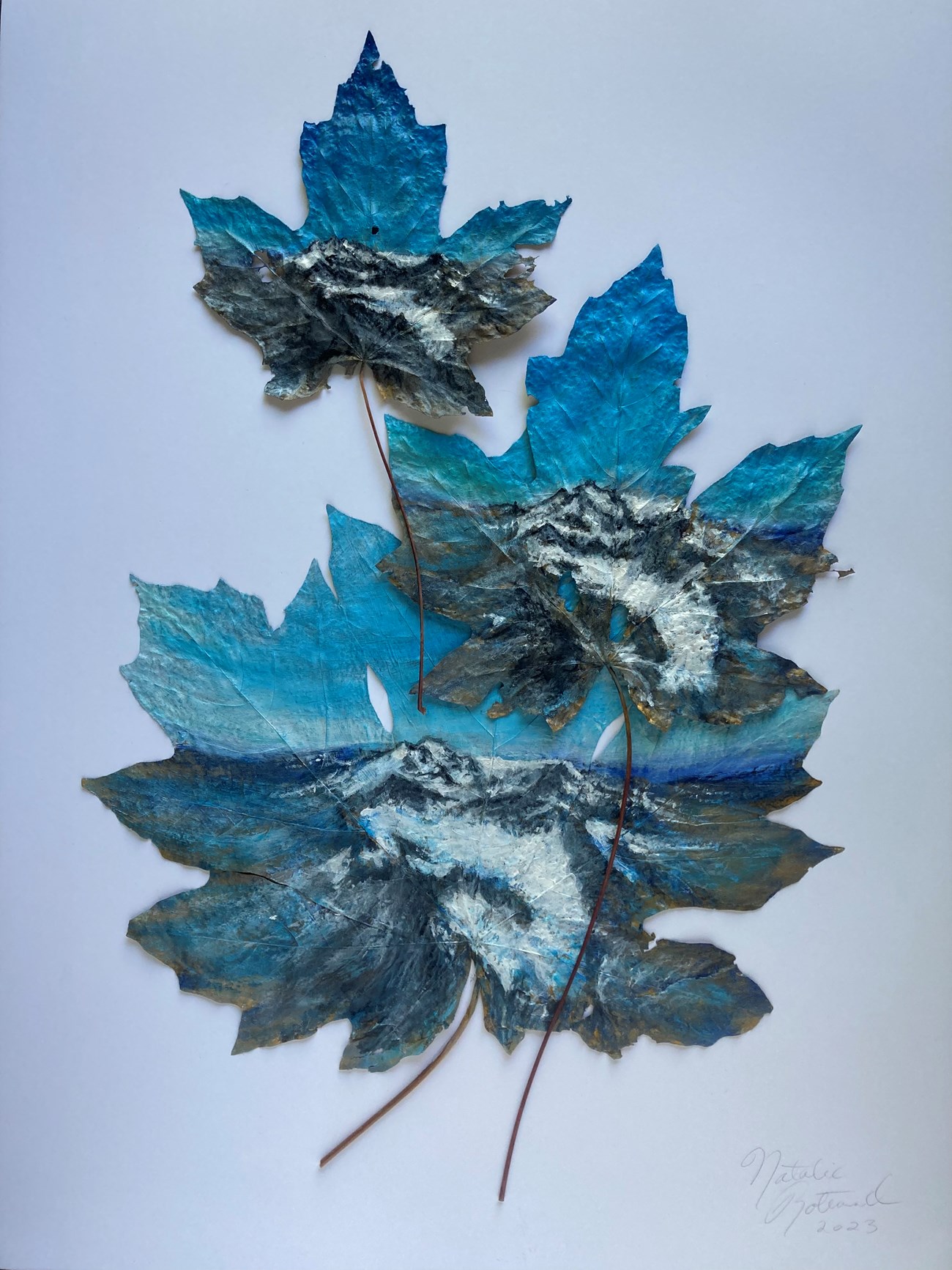 Three leaves of varying sizes with paintings of the same mountain glacier, its mass smaller and smaller on each leaf.