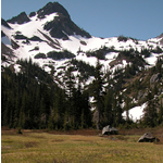 mountain meadow with snow-covered peaks in background