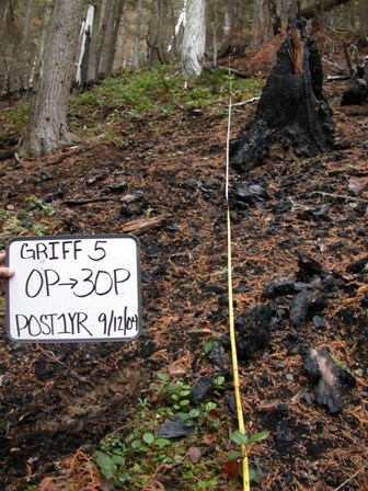 Composite burn index plot on the Griff Fire